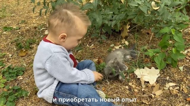 #10 Уютный осенний глэмпинг 🍂
