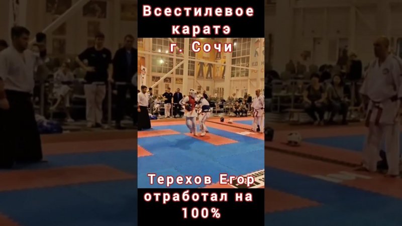 Когда отработал на 100%. Терехов Егор, всестилевое каратэ.