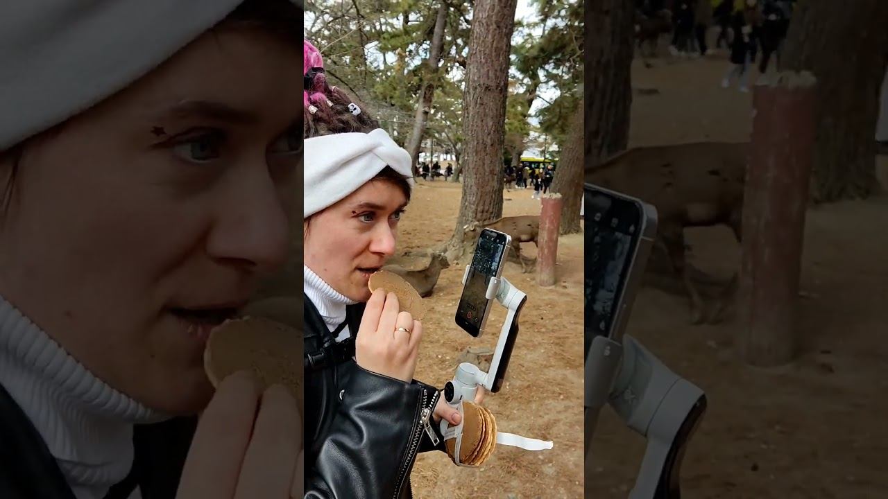 Кормим оленей с руки #deer #nara #nationalpark #japan #сшакитай #asiantravel смотреть онлайн