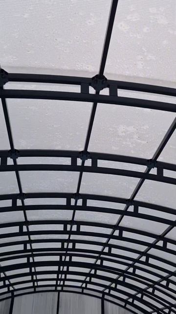 Бассейн в теплице в конце августа #дача #каркасныйбассейнвтеплице #чистаяводавбассейне #тёплаявода смотреть онлайн