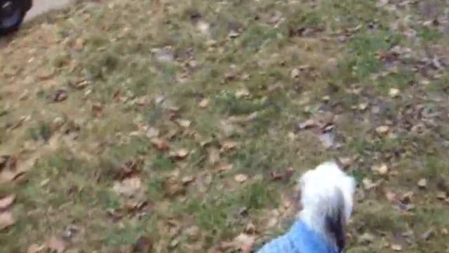 Фильм Осень настуупила золотая смотреть онлайн