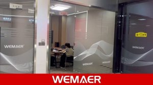 🚗✨Exciting News from Wemaer! 🌟