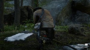 Red Dead Redemption 2 Прохождение №120 Каролинские попугаи.Утехи Ван Хорна.Рыбалка.