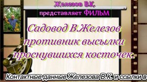 Садовод В.Железов противник высылки проснувшихся косточек.