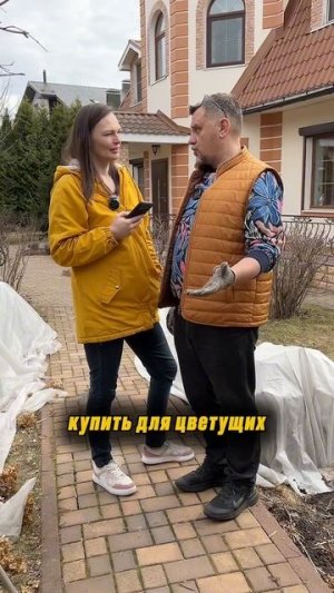 ПРАВИЛЬНЫЙ УХОД за лавандой