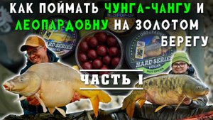 КАК ПОЙМАТЬ Чунга-Чангу и Леопардовну на Золотом берегу. Часть первая,