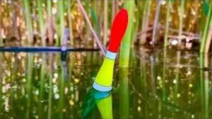 ВОТ ЭТО ВЫХОД КРУПНЯКА РАННИМ УТРОМ!!РЫБАЛКА НА ПОПЛАВОК.РЫБАЛКА НА ПОПЛАВОК ВЕСНОЙ 2025