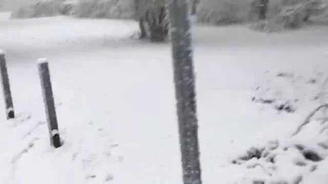 Зима В Дюссельдорфе смотреть онлайн