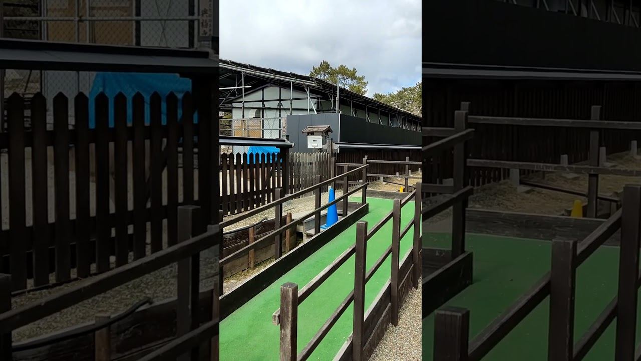 Идём смотреть оленей в Национальный парк Нара #nara #bamby #deer смотреть онлайн