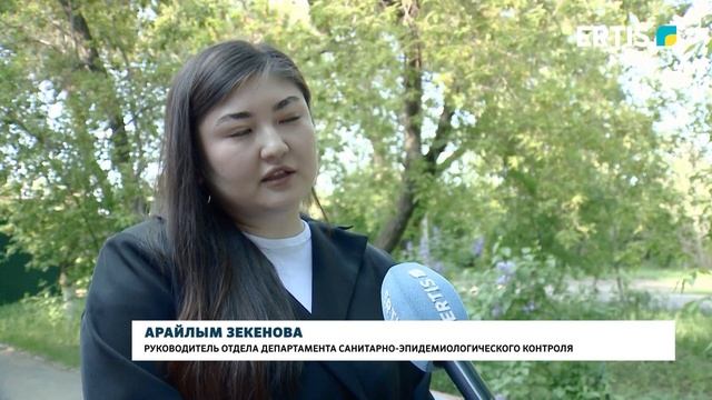 Проверка злополучного кафе смотреть онлайн