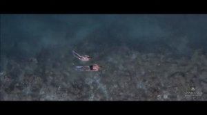 Отель Anantara Kihavah Maldives Villa