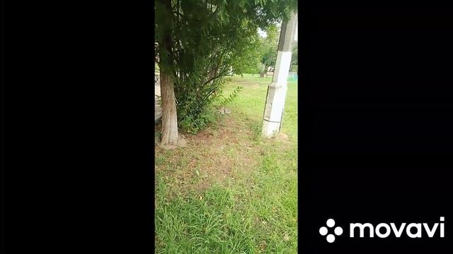 гуляю по Ступино, + котята смотреть онлайн