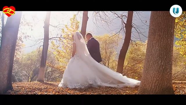 Данияр & Нурзида смотреть онлайн