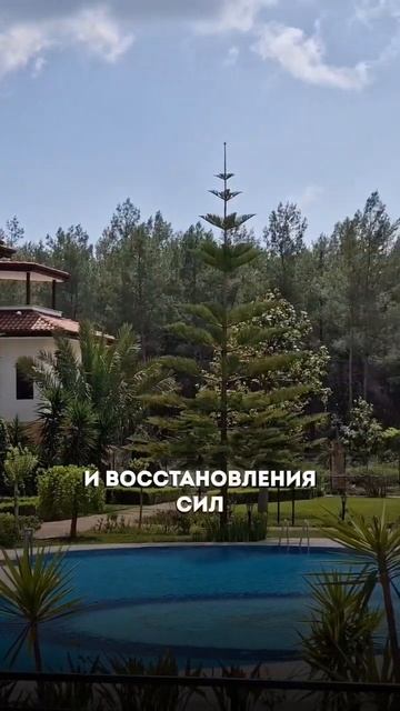 Переходите в профиль, там больше информации👍🏼 #гостиница #природа #пенсионеры #отдыхвтурции #семья