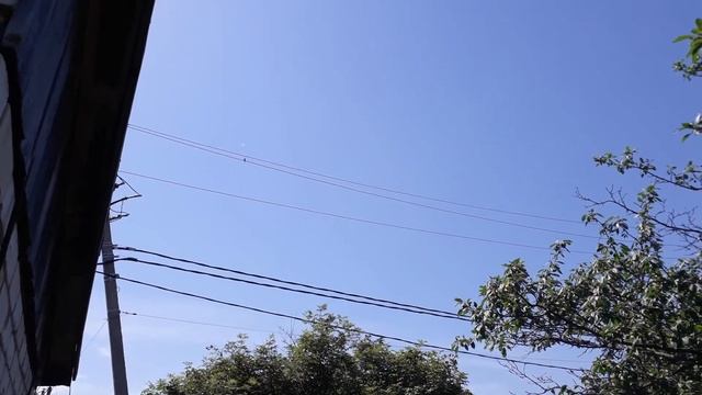 Огородные дела😁 16 июня, жара🔥🤪 #житьвКазани смотреть онлайн