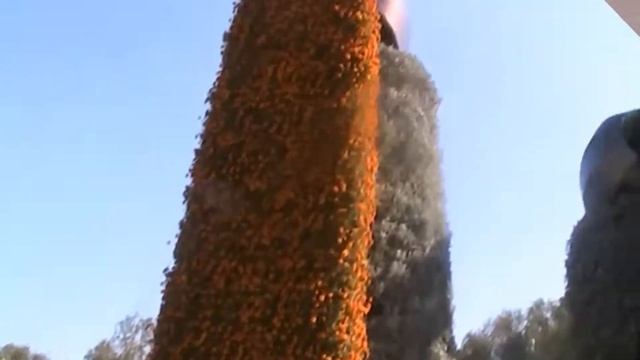 Тараз Фонтан цветов смотреть онлайн