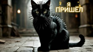 КОТ ПРИШЁЛ / Глухой Угол / Песня про ненависть к коту
