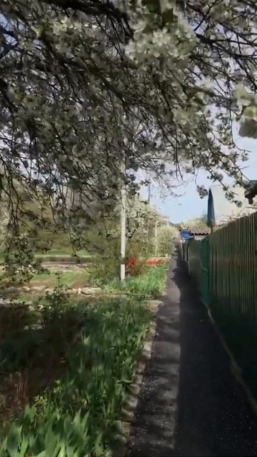 Весна в городе Лермонтов (Ставропольский край) смотреть онлайн