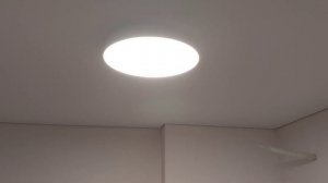 Распаковка — Потолочный светильник Maytoni Zon C032CL-L48W4K