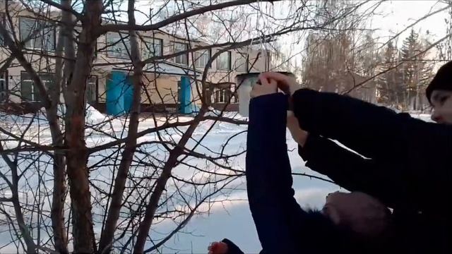Природоохранительная акция . "Кафе "Причья радость"