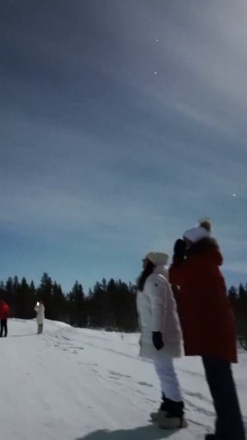 Туры на северное сияние в Мурманске #short #shorts #северноесияние  #природа #travel #север