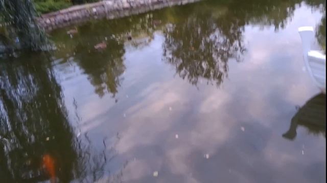Прогулка в парке Сады мечты. Красноярск