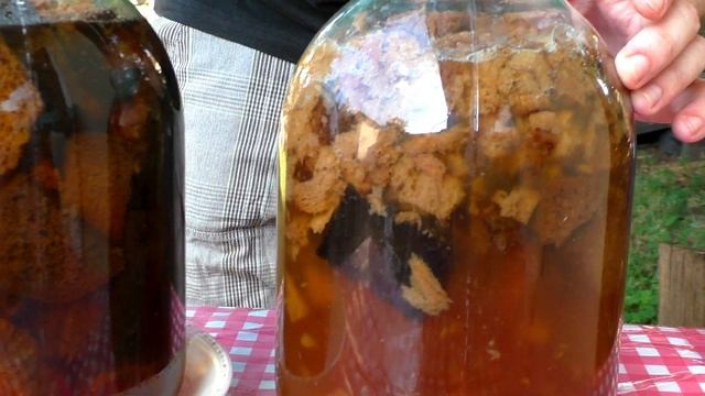 Квас дома, ЛЕГКО и БЫСТРО смотреть онлайн