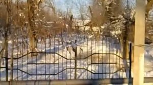 КОЧКОР-АТА СЕГОДНЯ.10 часть