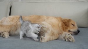 Другу можно всё :)