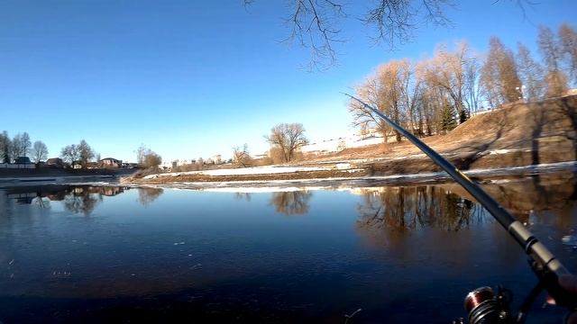 Плотва река Оршица