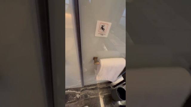 ПМЖ в Китай из России #china #marriott #guangzhou #китай #hotel #отель День долбежки 🤦🏽♀️ смотреть онлайн