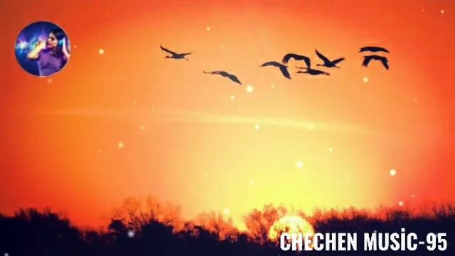 ХУСЕЙН БЕТЕЛЬГИРИЕВ ДАШО Г1АРГ1УЛЕШ 🎼🌟