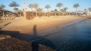 Пляж отеля Сигал.Хургада.