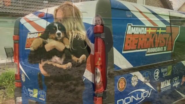 EM 2017 - Amanda Bergkvist #7 смотреть онлайн