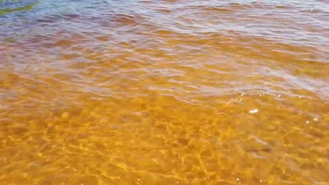 47 11 14 06 2020 СПб, Лосево, Добрый Лось смотреть онлайн