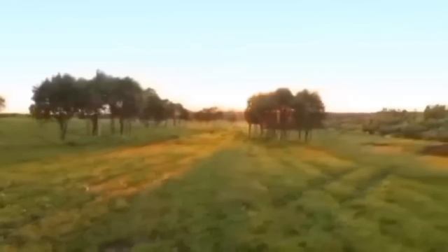 ВИДЕЛ СМЕРТЬ И МУЧЕНИЯ - ДЗЕРЖИНСКОГО..МУЧЕНИЯ ПАЛАЧА БЫЛИ ТАК ВЕЛИКИ,ЧТО ВЫЗВАЛИ У СТАРЦА УЖАС..