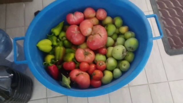 ВЛОГ.РАБОЧАЯ КОСМЕТИЧКА.УХОД В ВАННОЙ КОМНАТЕ.ФИОЛЕТОВЫЙ СМОКИ АЙС.ГОТОВИМ.С 15-16 АВГУСТА 2024 ГОД смотреть онлайн