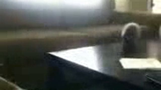 Супер прикол прыжок кота смотреть онлайн