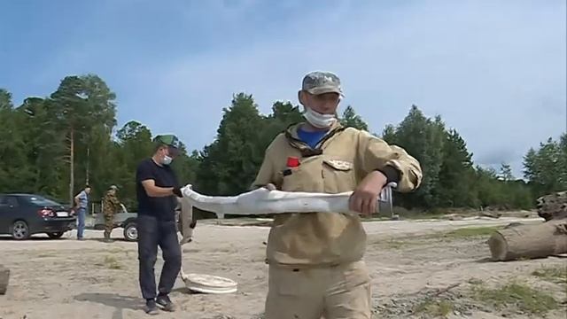 Безопасность в лесу смотреть онлайн