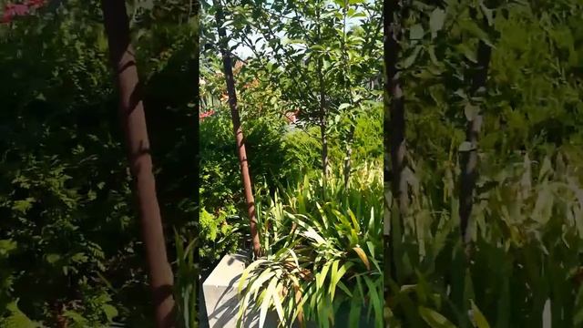 АНАПА 07.21 Район пансионата Южный смотреть онлайн