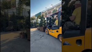 Садовый центр «АртСад» в Самаре ждет покупателей за покупками✨У нас больше 10 000 наименований‼️