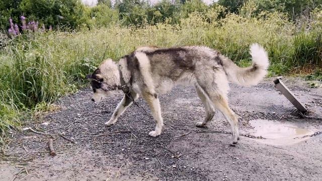 ДОСТОПРИМЕЧАТЕЛЬНОСТИ КАРЕЛИИ | РУСКЕАЛА, СОРТАВАЛА смотреть онлайн