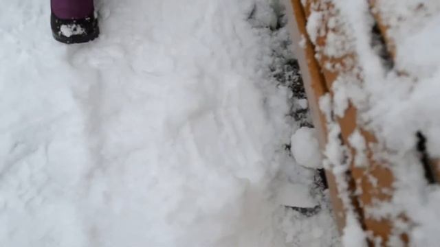 Прогулка! Я тестирую Нордман 3.0. Калининград 24.12.2018. смотреть онлайн