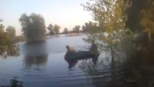 рыбалка смотреть онлайн