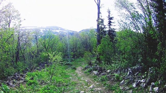 Лаго-наки