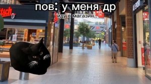 пов: у меня др! | мемные котики.