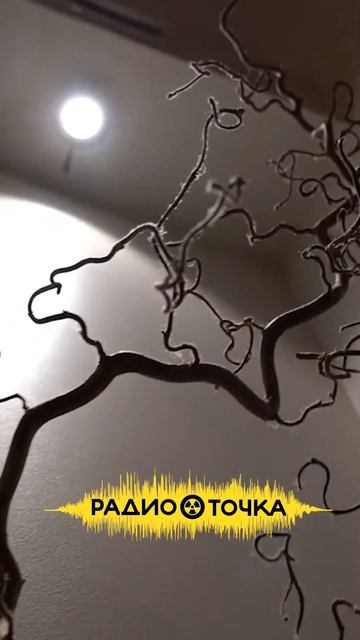 Можно ли открыть ресторан в Литве без знания литовского языка? смотреть онлайн