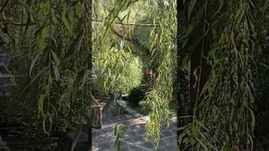 Место отдыха. Аштарак, Армения