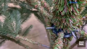 ОБЗОР искусственной ели Дворянская 100% литая, зеленая