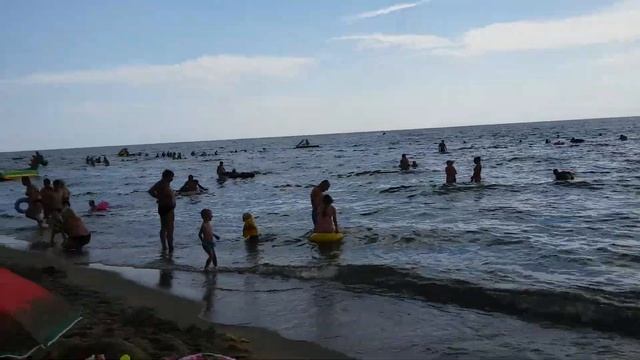 ЗАТОКА пляж Лиманської станції смотреть онлайн